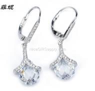 Factory Direct Silver Earrings / Perfect zirconium Umbilicaria buckle / Ms. commuter earrings