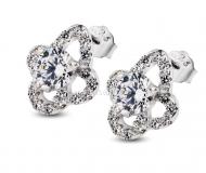 Silver earrings / fine OL wild plum garden earrings inlaid zircon group